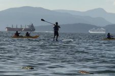 SUP BOARDING ENGLISH BAY