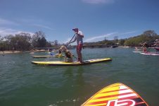 SUPS ON PUPS IN CURRUMBIN