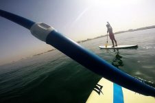 PADDLING AROUND DOLPHINS IN DUBAI